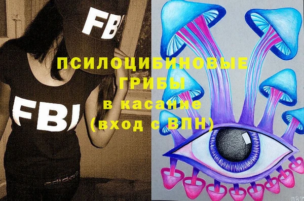 гашик Богородск