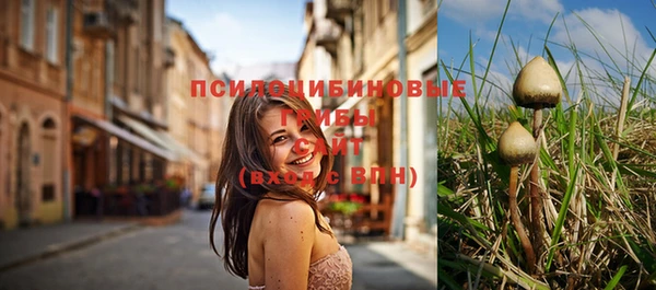 МДМА Богданович