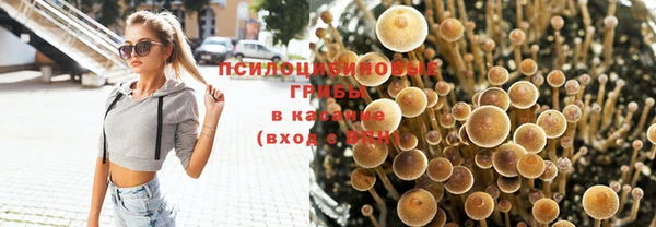 МДМА Богданович